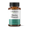 Marine Minerals